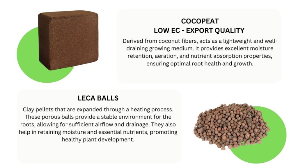 Our kit includes cocopeat and LECA (Lightweight Expanded Clay Aggregate) balls.