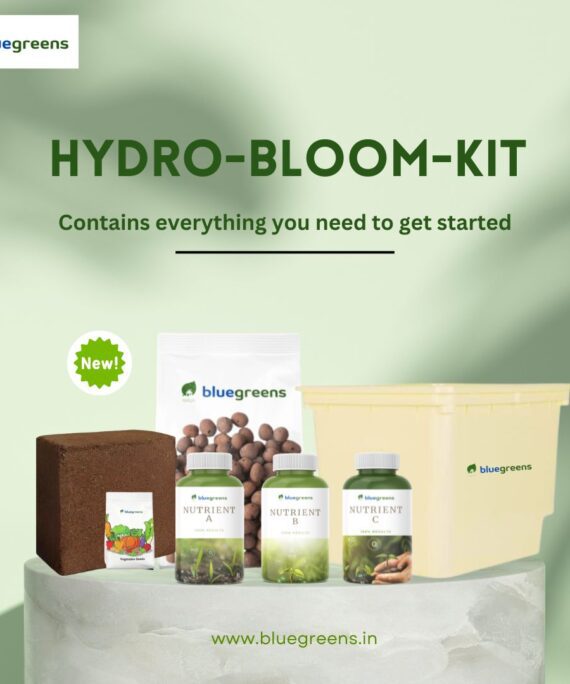 HydroBloom: Standard Kitchen Garden Trial Pack