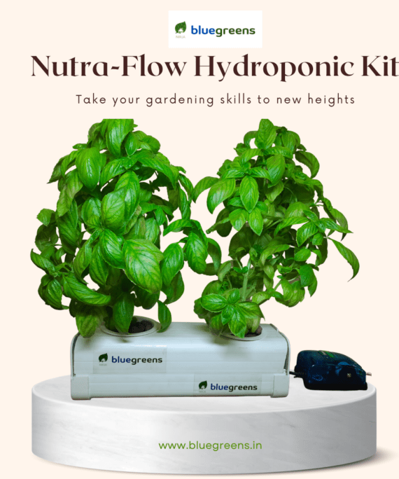 Nutri-Flow Hydroponic Kit